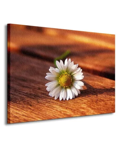 Kwiat - Obraz na płótnie