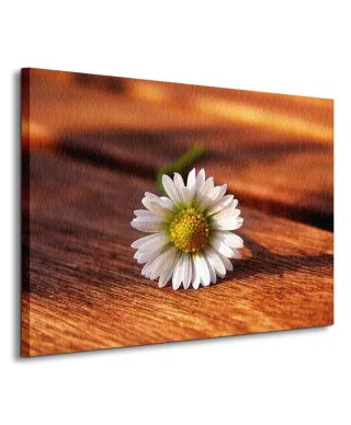 Kwiat - Obraz na płótnie
