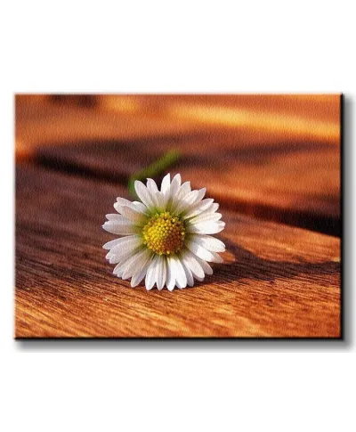 Kwiat - Obraz na płótnie