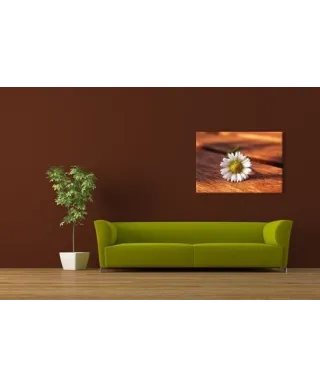 Kwiat - Obraz na płótnie