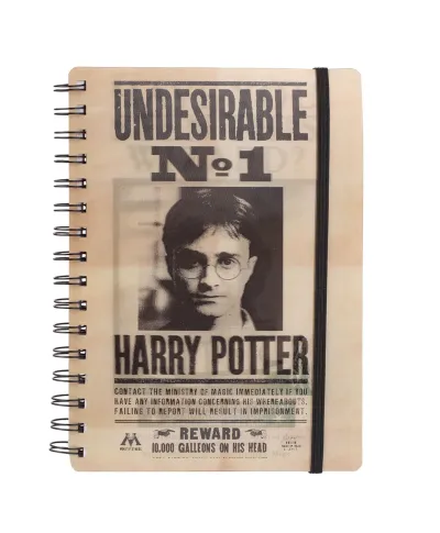 Harry Potter Sirius and Harry Notes A5 z okładką 3D