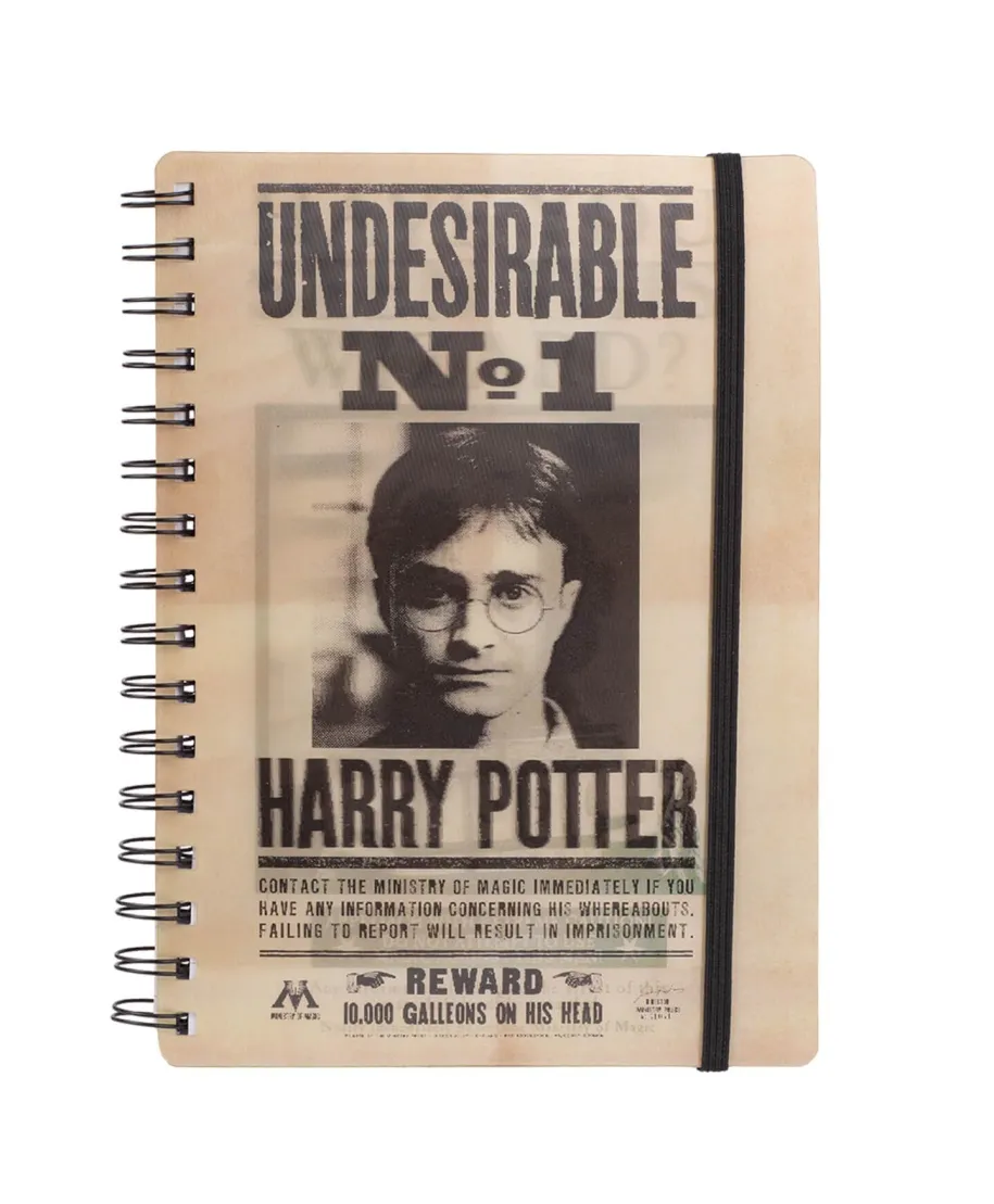 Harry Potter Sirius and Harry Notes A5 z okładką 3D