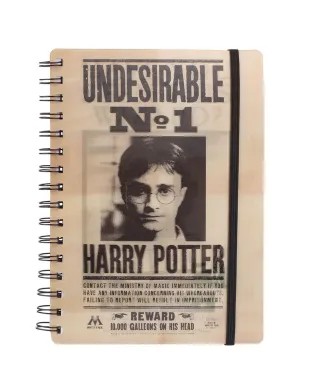 Harry Potter Sirius and Harry Notes A5 z okładką 3D