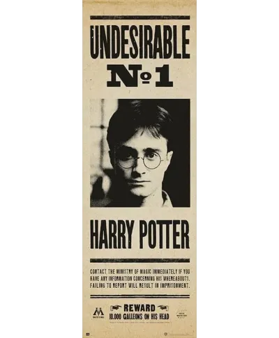 Harry Potter Undesirable - plakat