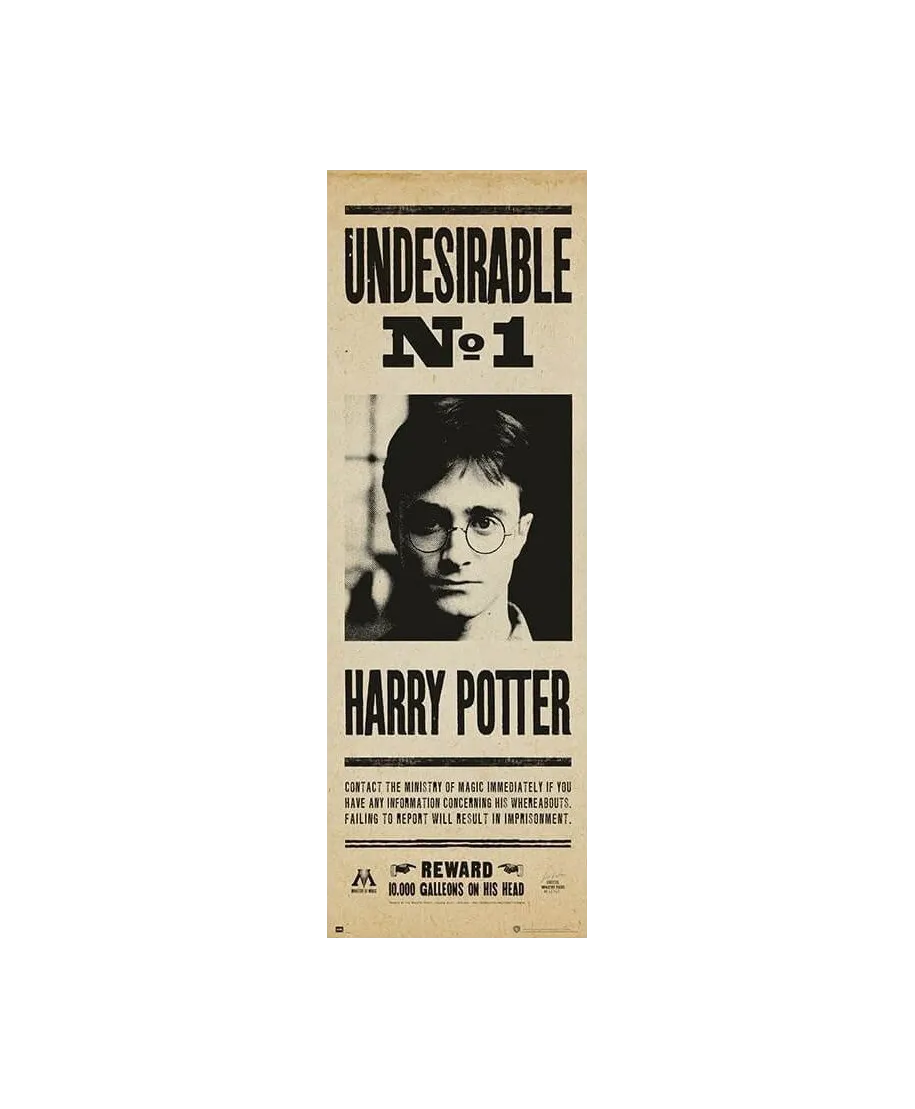 Harry Potter Undesirable - plakat