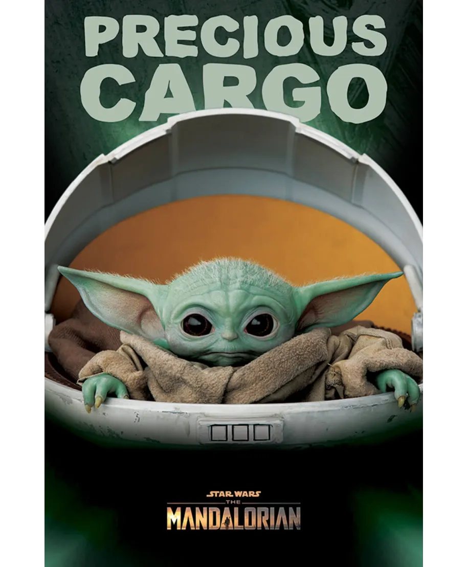 Star Wars The Mandalorian Precious Cargo - plakat