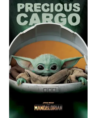 Star Wars The Mandalorian Precious Cargo - plakat