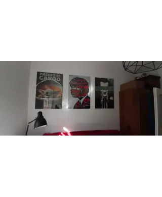 Star Wars The Mandalorian Precious Cargo - plakat