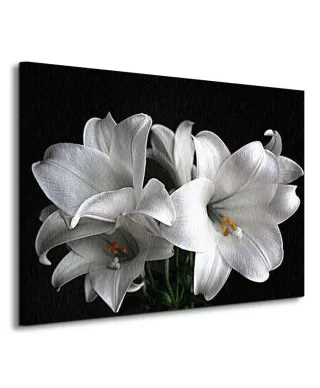 Białe Lilie - Obraz na płótnie