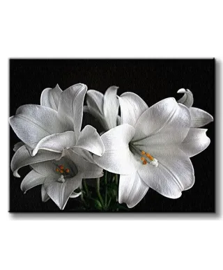 Białe Lilie - Obraz na płótnie