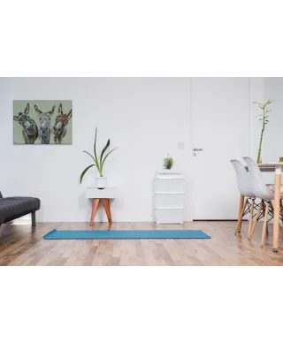 Wise Asses - obraz na płótnie