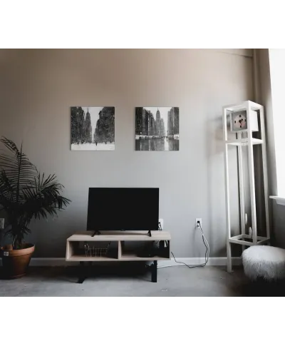 Snow Flurries 5th Avenue - obraz na płótnie