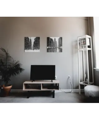 Snow Flurries 5th Avenue - obraz na płótnie