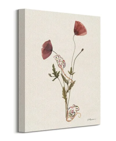 Wild Poppies - obraz na płótnie