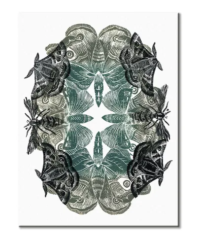 Moths - obraz na płótnie