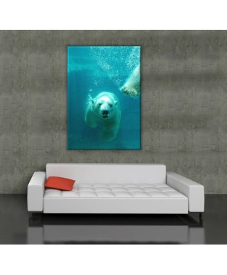 Niedźwiedź Polarny - Obraz na płótnie