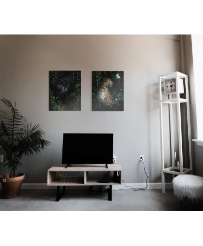 Leopard - obraz na płótnie