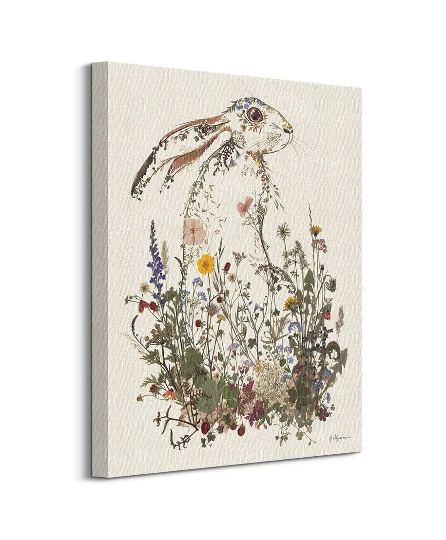 Hiding Hare - obraz na płótnie