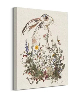 Hiding Hare - obraz na płótnie