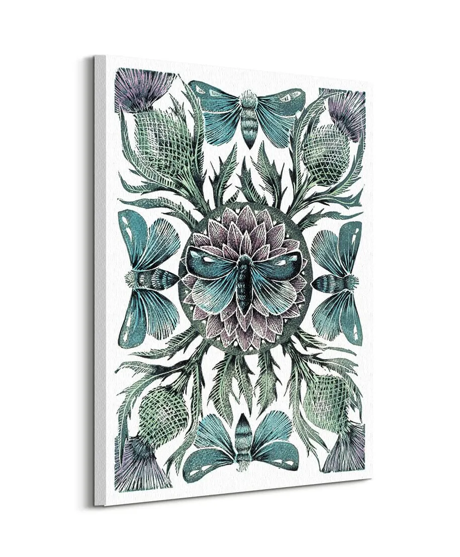 Moths Thistles - obraz na płótnie