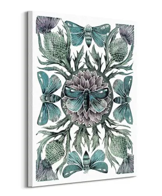 Moths Thistles - obraz na płótnie