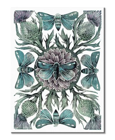 Moths Thistles - obraz na płótnie