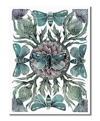 Moths Thistles - obraz na płótnie