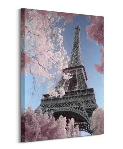 Eiffel Tower Infrared - obraz na płótnie