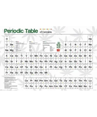 Układ okresowy konopi - plakat