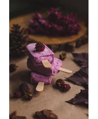 Lody na patyku - plakat