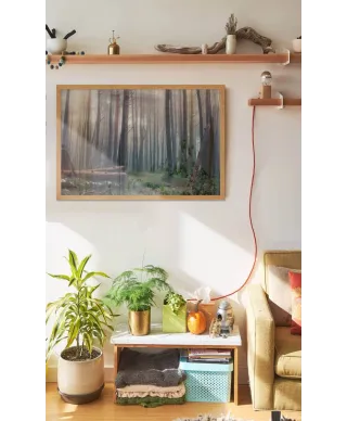 Mglisty las - plakat