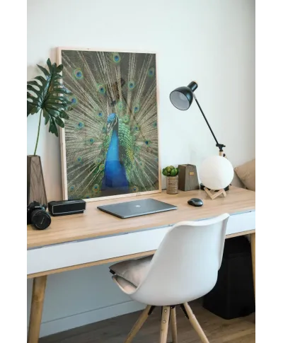 Mr. Peacock - plakat