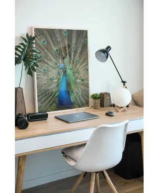 Mr. Peacock - plakat