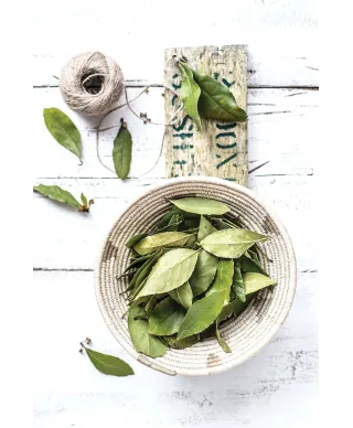 Liście laurowe - plakat