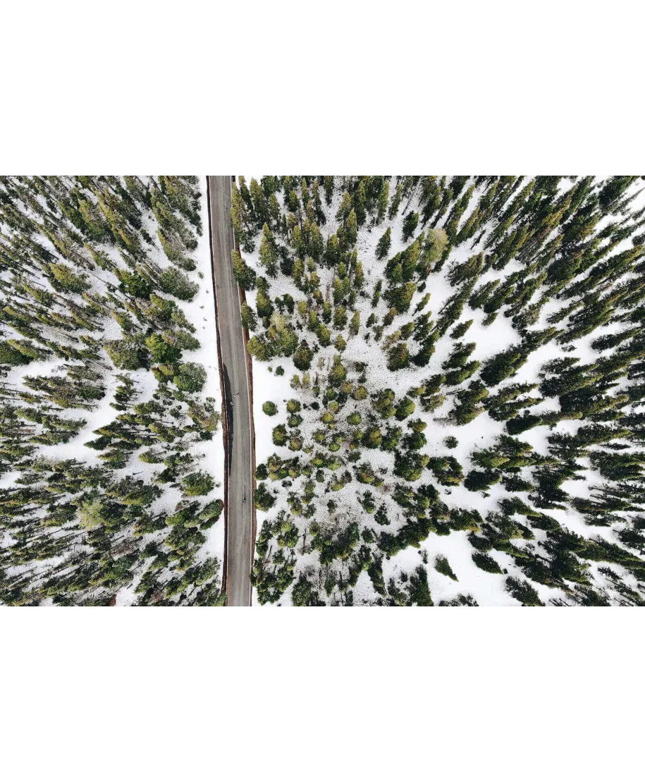 Zimowa trasa - plakat