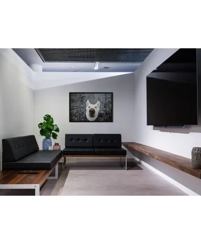 Biały Pies - plakat