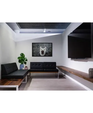 Biały Pies - plakat