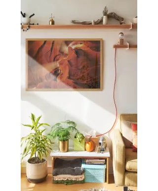 Kanion Antylopy - plakat