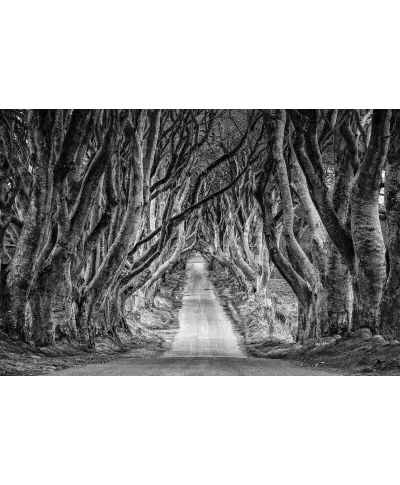 Droga przez las - plakat