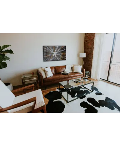 W Koronach Drzew - plakat