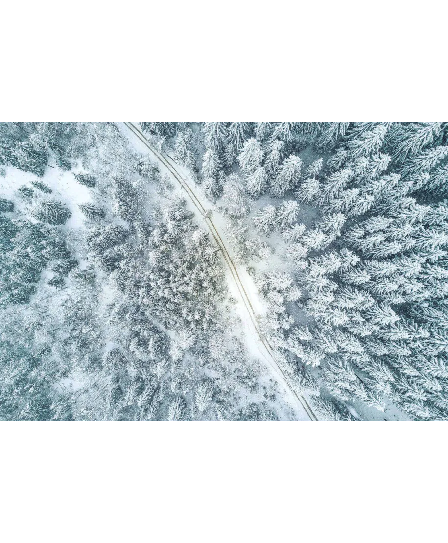 Śnieżna droga - plakat