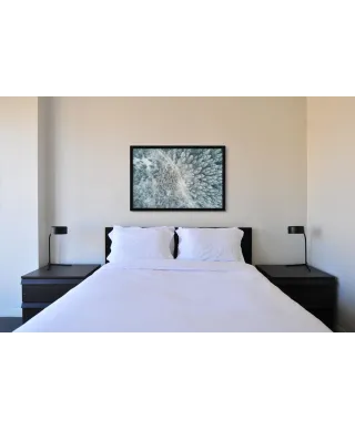 Śnieżna droga - plakat