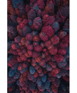 Barwy Jesieni - plakat