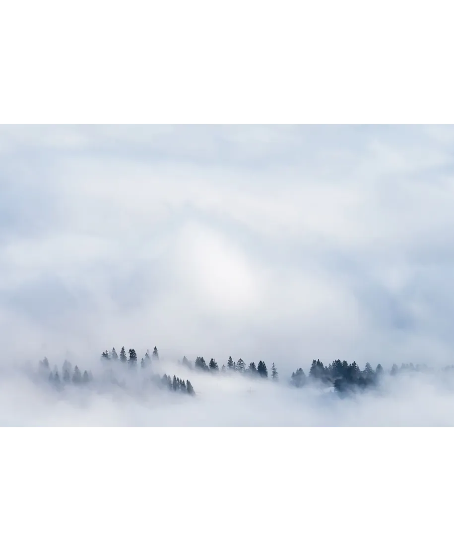 Drzewa we mgle - plakat