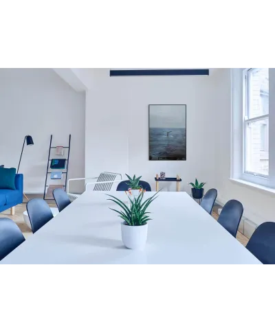 Ogon Wieloryba - plakat