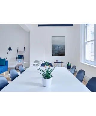 Ogon Wieloryba - plakat