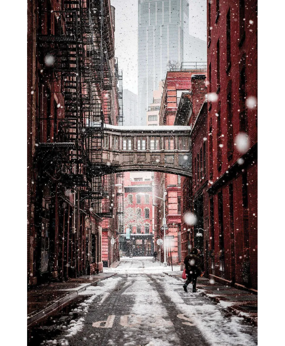 Zimowy Brooklyn - plakat