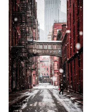 Zimowy Brooklyn - plakat