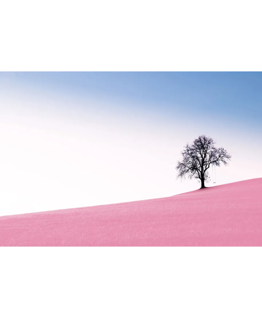 Pink Meadow - plakat