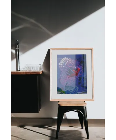 Błazenek - reprodukcja